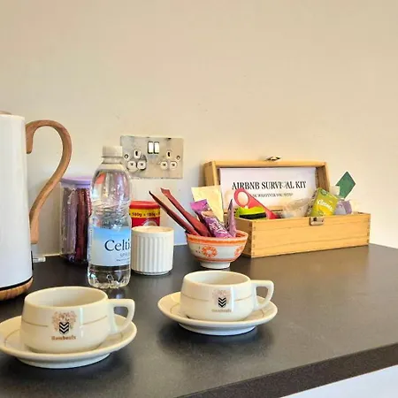 Bright Spacious Centre Flat דירה בריסטול